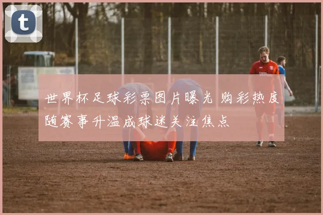 世界杯足球彩票图片曝光 购彩热度随赛事升温成球迷关注焦点