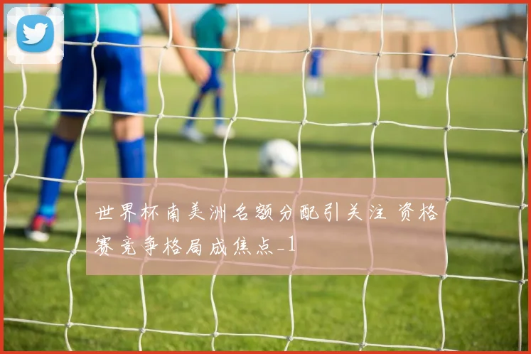世界杯南美洲名额分配引关注 资格赛竞争格局成焦点_1