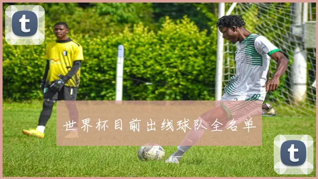 世界杯目前出线球队全名单
